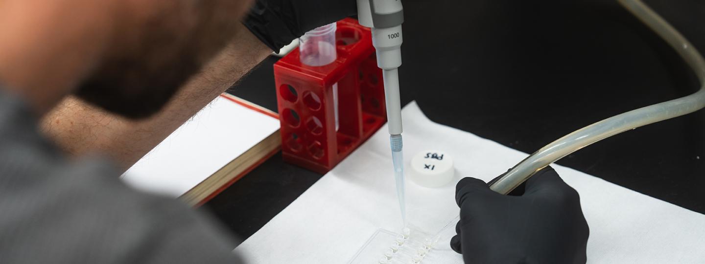 A scientist wearing black gloves uses a micropipette to transfer liquid into a small multi-well plate in a laboratory setting.