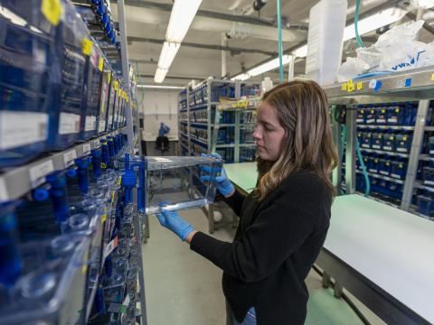A person pulls a tank of fish out of a rack in the aquatic animal care facilities.