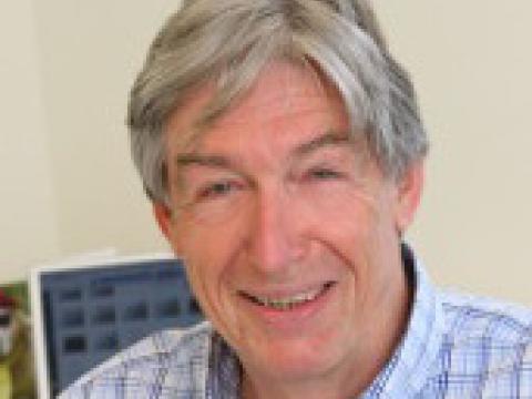 Headshot of Roderick Capaldi.