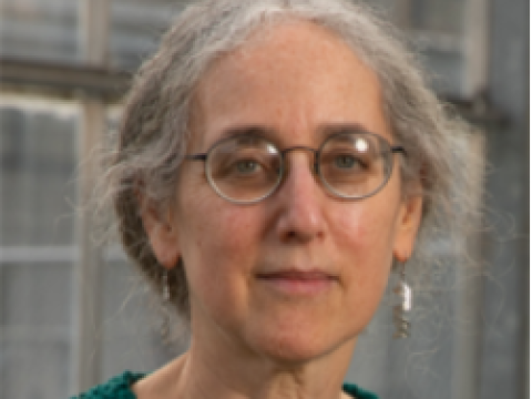 Portrait of Dr. Alice Barkan.